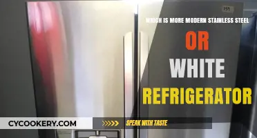 Sleek and Contemporary: Stainless Steel vs. White Refrigerators