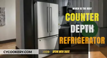 Top Counter Depth Refrigerators: A Comprehensive Guide to the Best Models