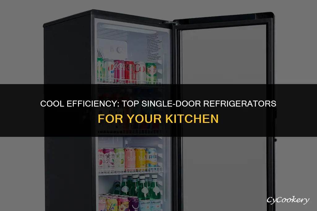 which is the best refrigerator in single door
