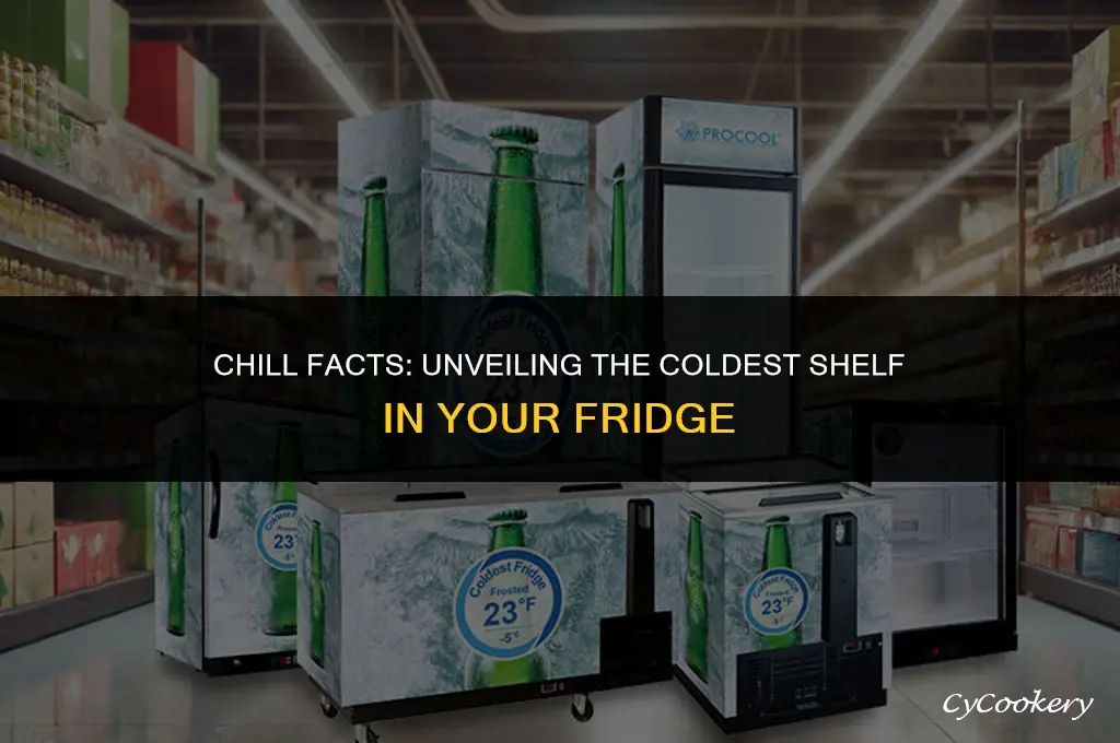 which is the coldest shelf in the refrigerator