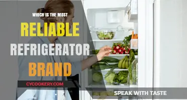 Top Reliable Refrigerator Brands: A Comprehensive Guide to Longevity and Performance