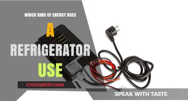 Exploring the Power Source: What Energizes Your Fridge?