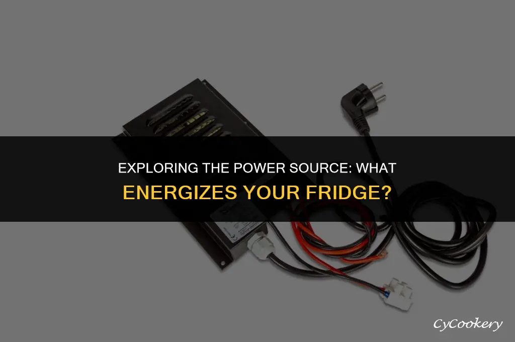 which kind of energy does a refrigerator use
