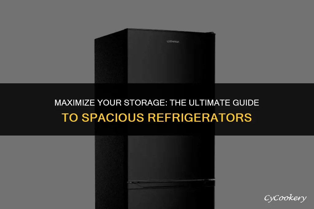 which kind of refrigerators have the most refrigerator space