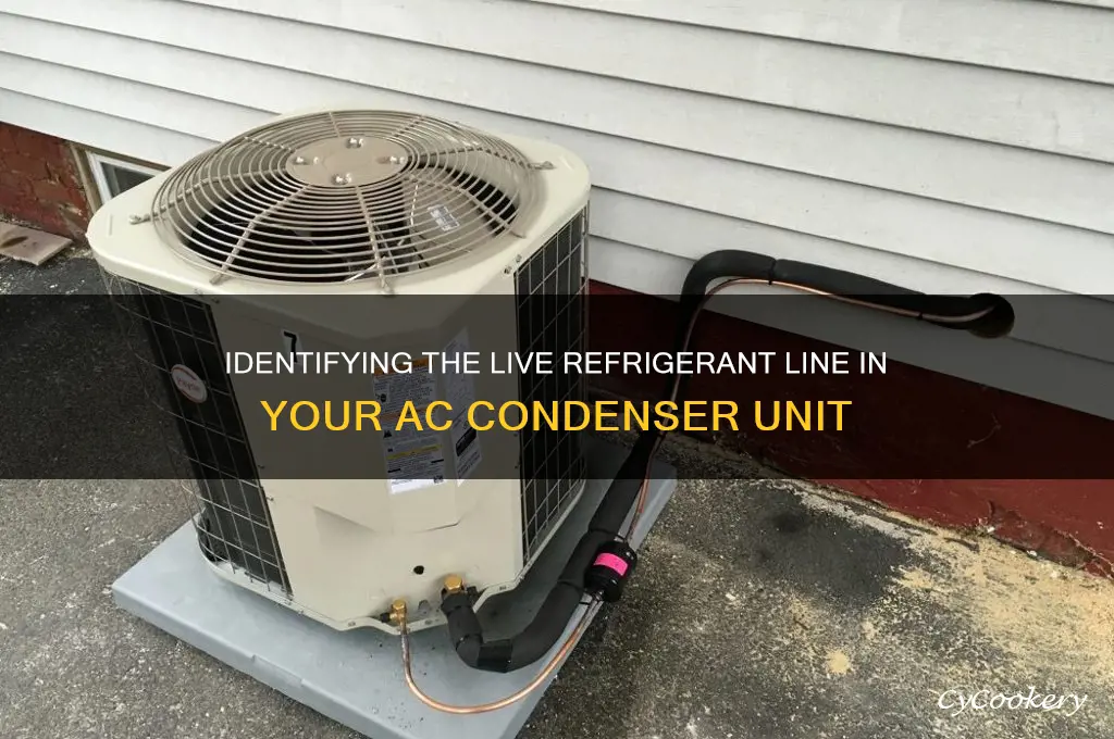 which line is refrigerant live ac condenser