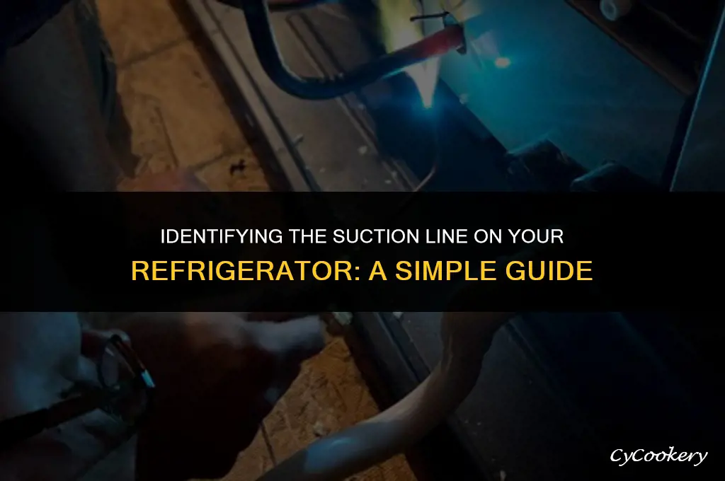 which line is the suction line on a refrigerator