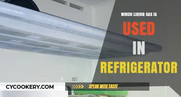 What Liquid Gas Powers Your Refrigerator: A Cooling Essential Explained