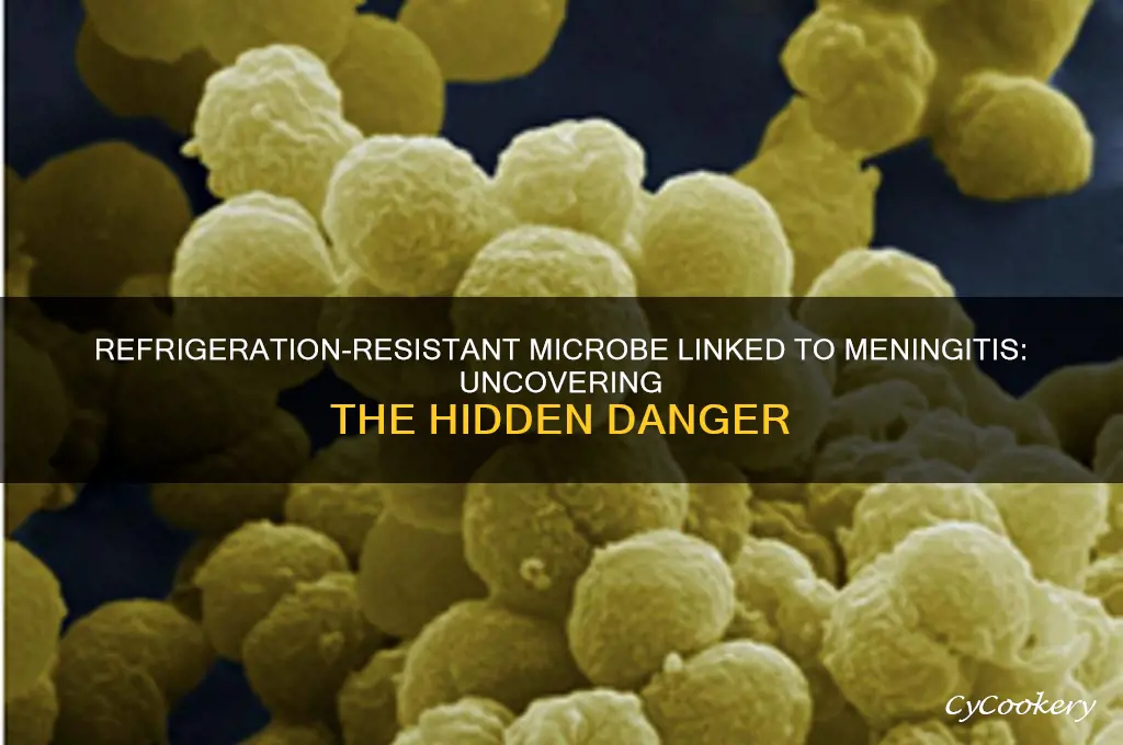 which microorganism grows at refrigeration temperature and can cause meningitis