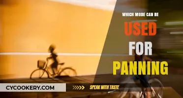 Discover the Best Mode for Panning Photography