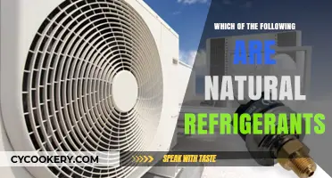 Exploring Eco-Friendly Cooling: Identifying Natural Refrigerants for Sustainable Solutions