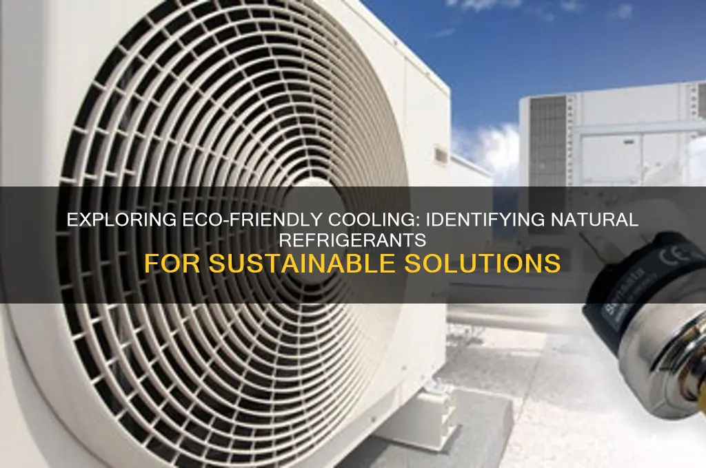 which of the following are natural refrigerants