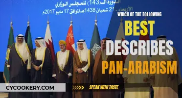 The Pan-Arabism Ideology: Unity, Socialism, and Nationalism