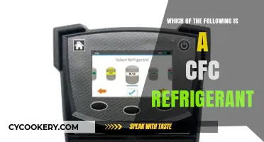 Decoding Refrigerants: Identifying CFCs Among the Options