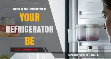 Optimal Refrigerator Temperature: A Guide to Freshness and Safety