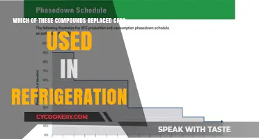 Eco-Friendly Alternatives: What Replaced CFCs in Modern Refrigeration?