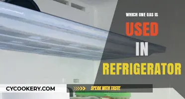 What Gas Powers Your Fridge? Exploring Refrigerator Coolants