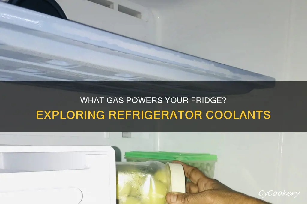 which one gas is used in refrigerator