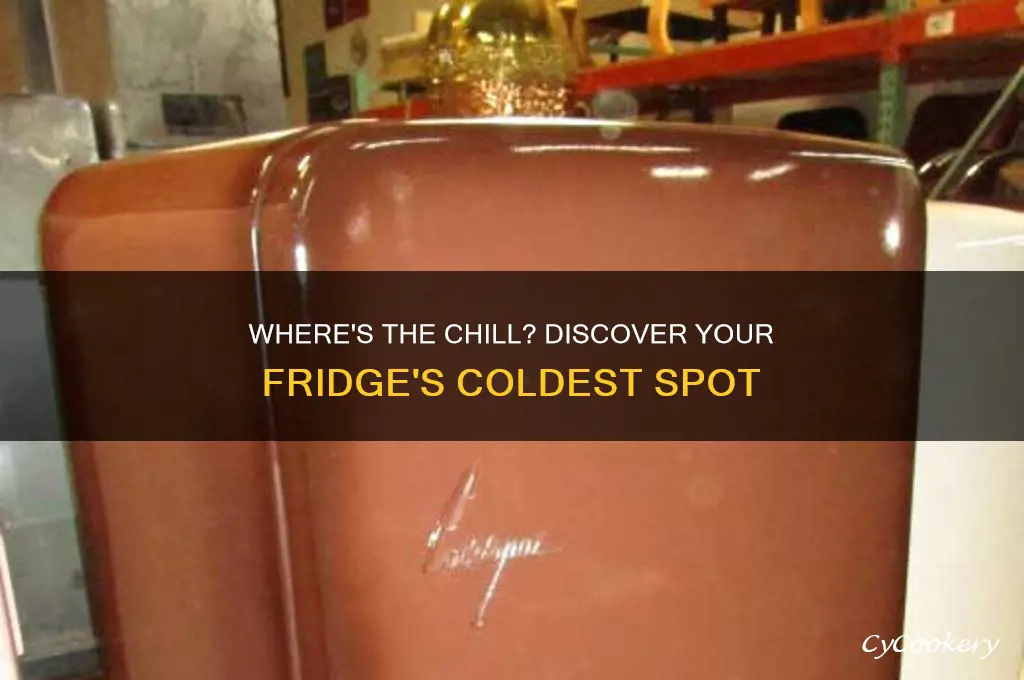 which part of refrigerator is the coldest