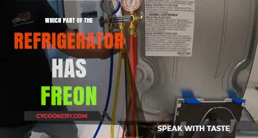 Where is Freon Located in Your Refrigerator: A Quick Guide