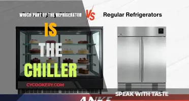 Exploring Your Fridge: Where's the Chiller Located?