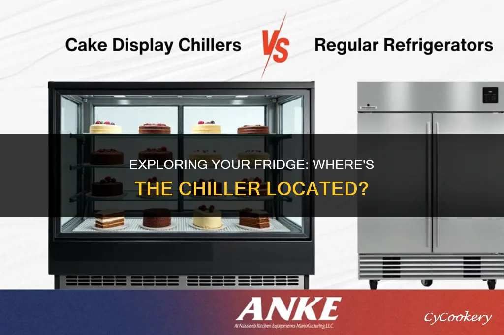 which part of the refrigerator is the chiller
