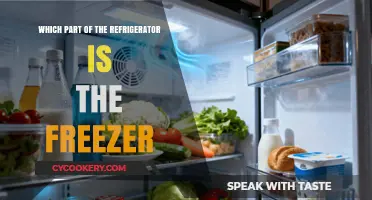 Chill Insights: Locating the Freezer in Your Refrigerator
