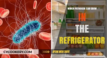 Chilling Truth: Pathogens That Thrive in Your Refrigerator