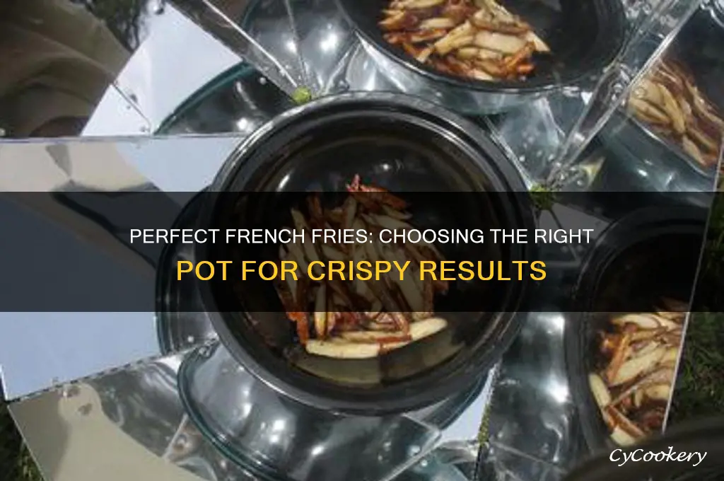 which pot do you use to cook french fries in