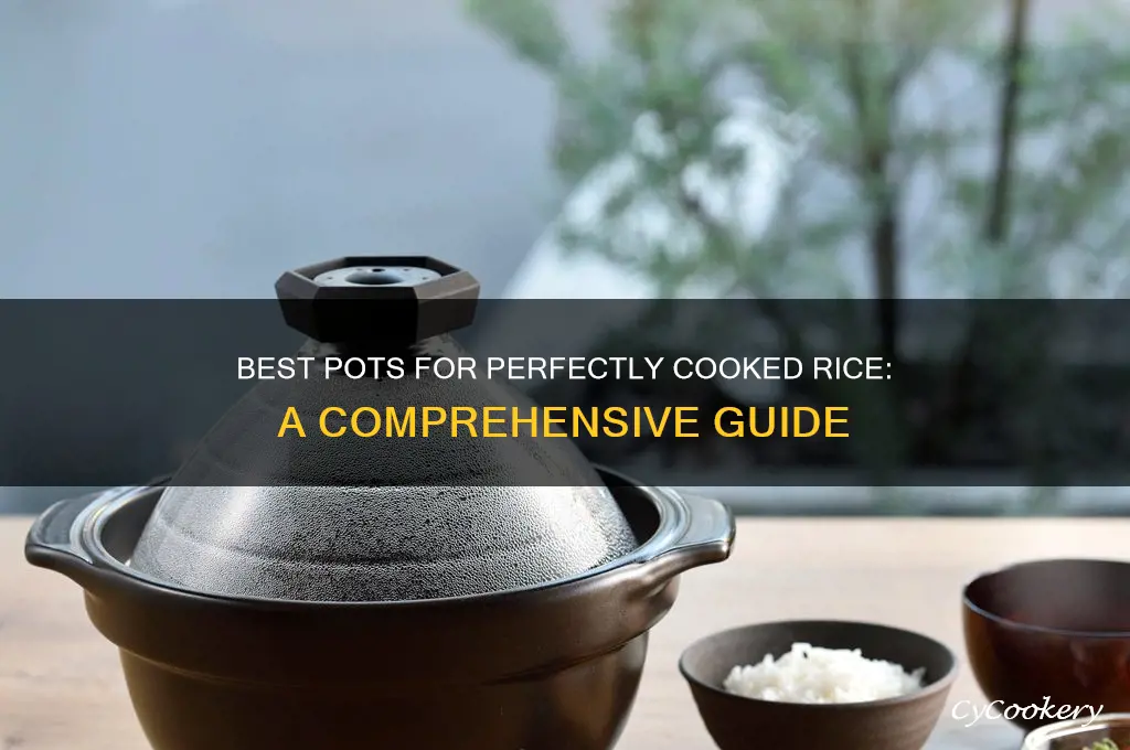 which pot is best for cooking rice
