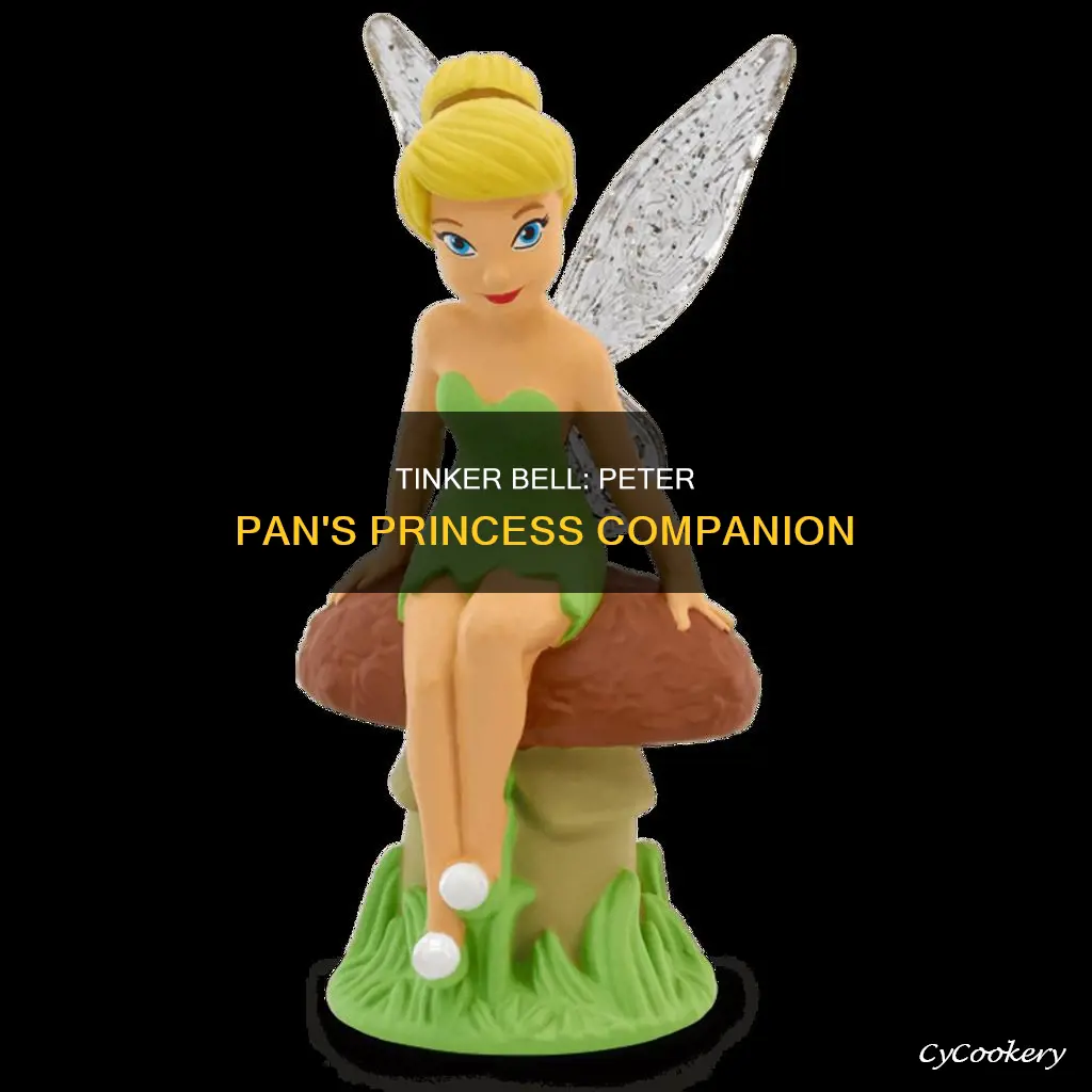 which princess can be seen in peter pan