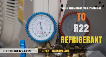 Compatible Refrigerant Alternatives for Topping Up R22 Systems