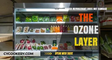 Eco-Friendly Cooling: Refrigerants That Spare the Ozone Layer