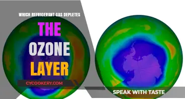 Ozone-Depleting Refrigerant Gases: Identifying the Harmful Culprits
