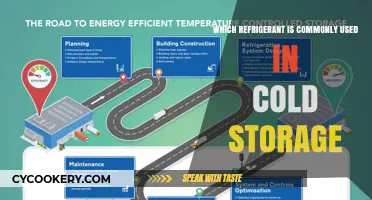 Chilling Essentials: The Go-To Refrigerant for Cold Storage Solutions