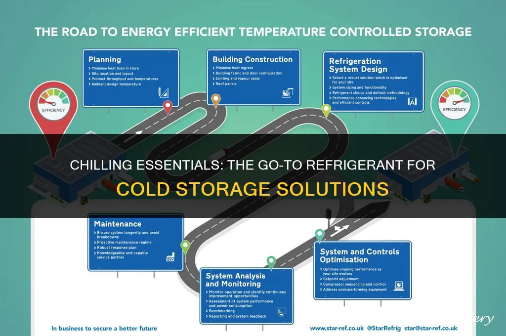which refrigerant is commonly used in cold storage