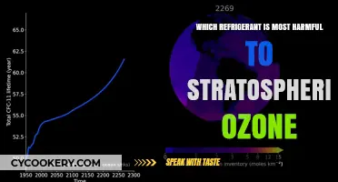 The Refrigerant Menace: Which One Harms the Ozone Layer Most?