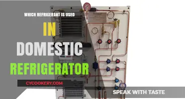 Common Refrigerants Used in Domestic Refrigerators: A Comprehensive Guide