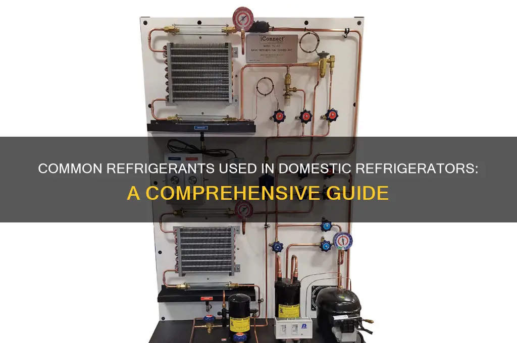 which refrigerant is used in domestic refrigerator