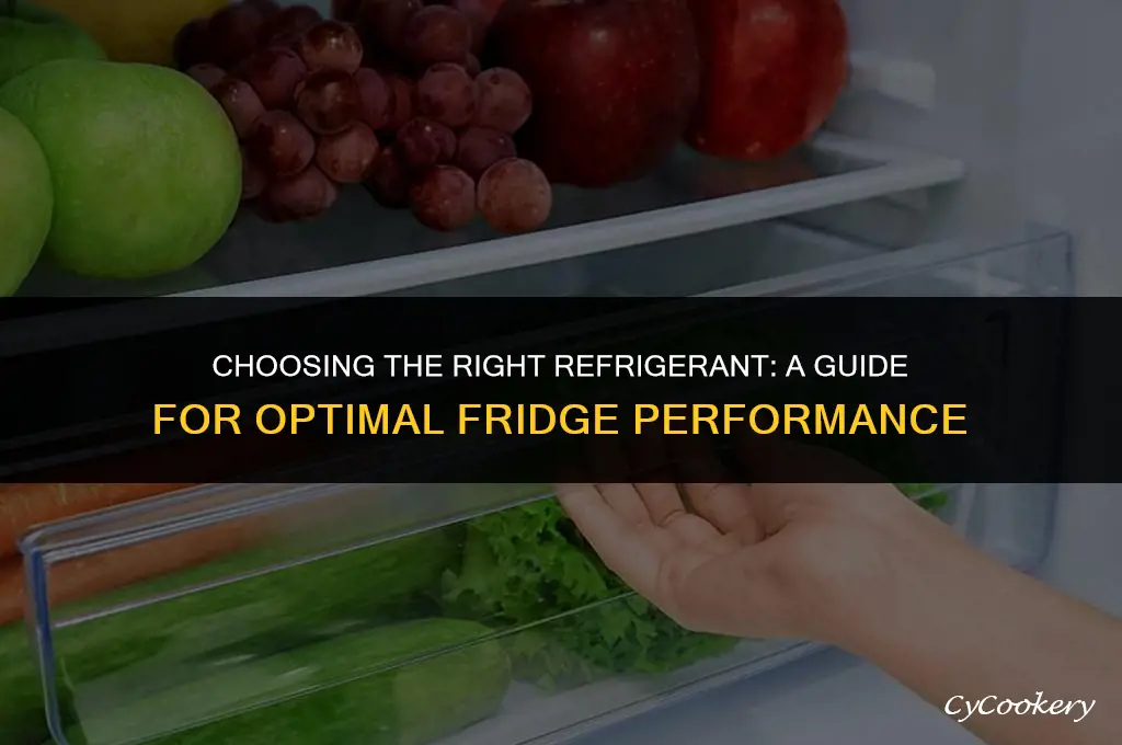 which refrigerant should i use in my refrigerator