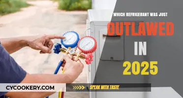 2025 Ban: Which Refrigerant Was Outlawed and Why It Matters