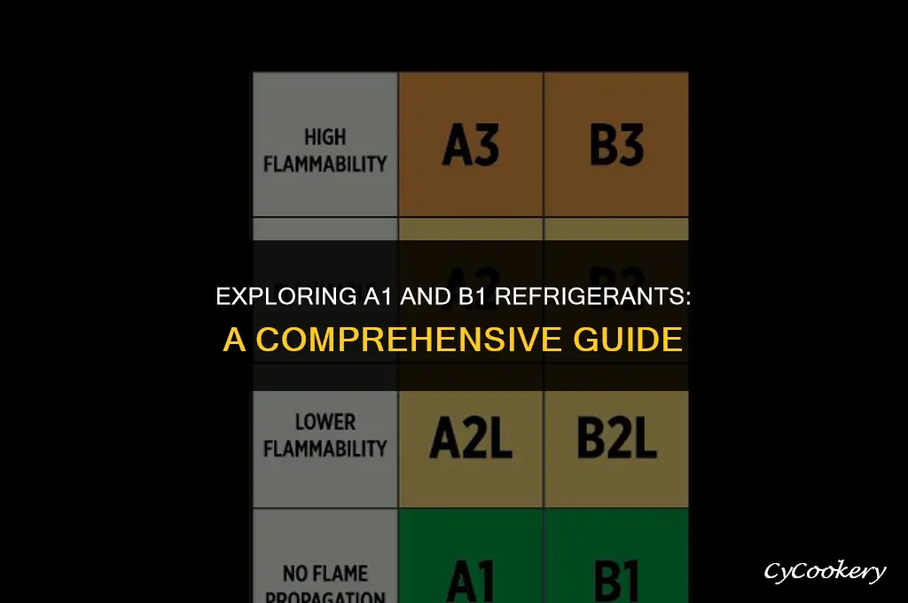 which refrigerants are classified as a1 and b1 refrigerants