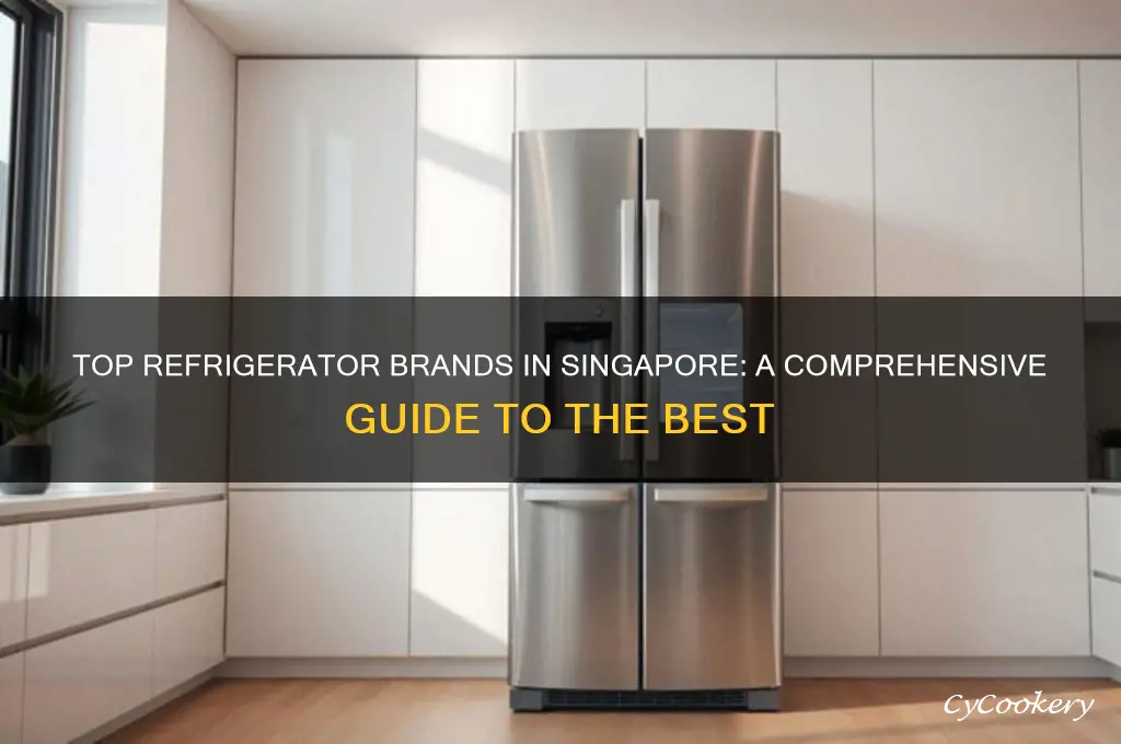 which refrigerator brand is best in singapore