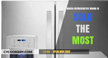 Top Refrigerator Brands Dominating Global Sales: Who Sells the Most?