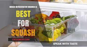 Best Refrigerator Drawer for Storing Squash: A Freshness Guide