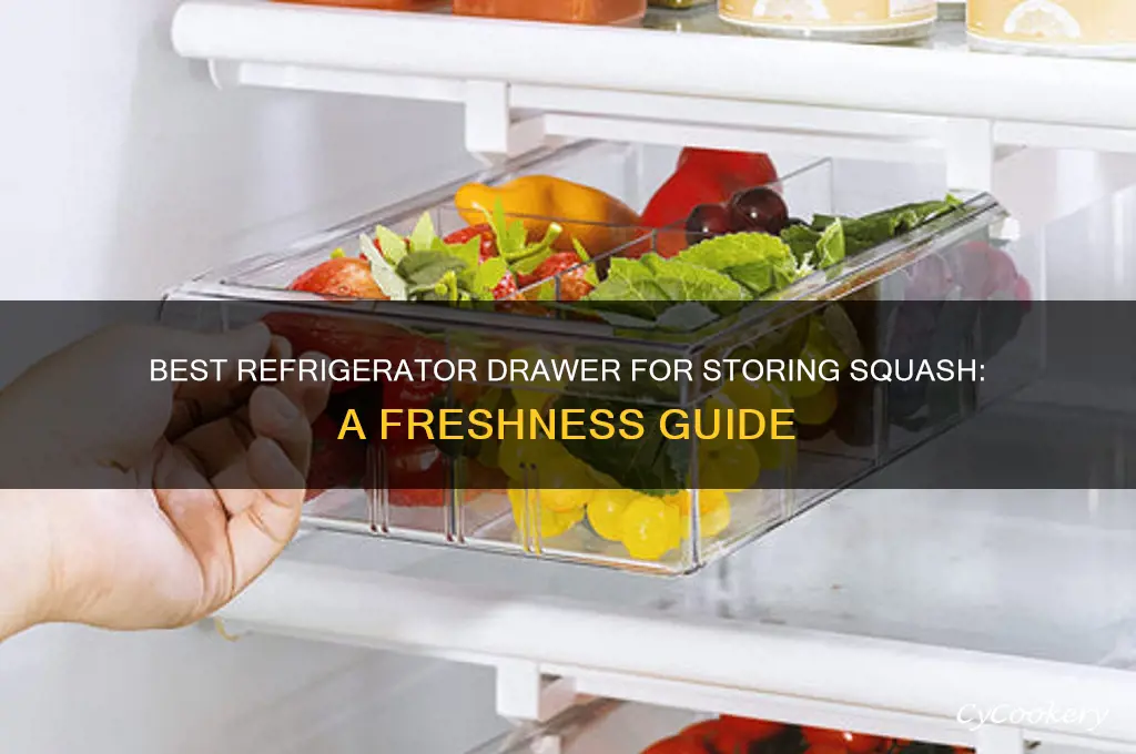 which refrigerator drawer is best for squash