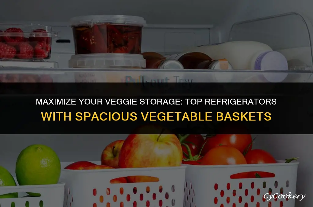 which refrigerator has big space for vegetable basket