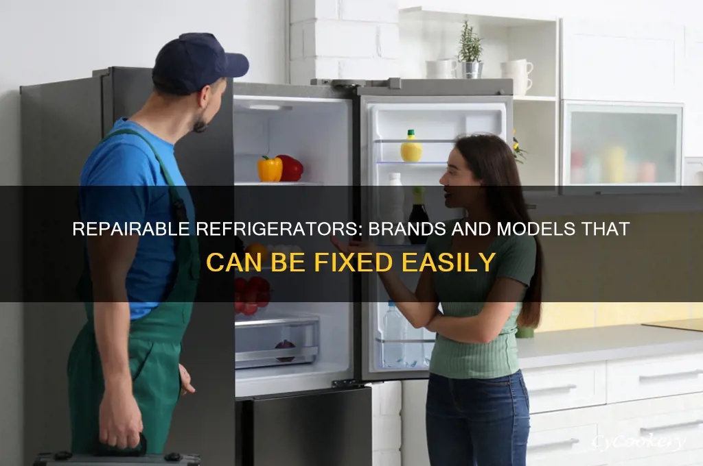 which refrigerators can be repaired