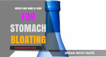 Sake for Bloating Relief: Best Varieties to Soothe Your Stomach