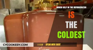 Chill Facts: Unveiling the Coldest Spot in Your Fridge