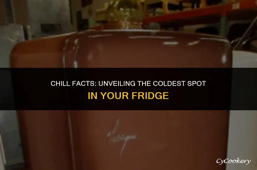 which self in the refrigerator is the coldest